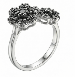 Anillo Jardín Secreto
